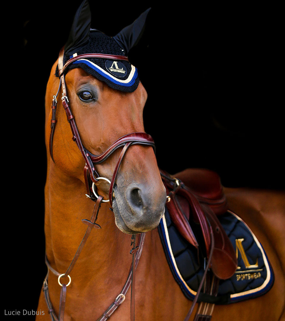 Tapis de selle cheval bleu roi Comité Régional d'Equitation d'Ile