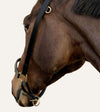 licol grooming cuir noir cheval poney zoom alexandra ledermann sportswear alsportswear