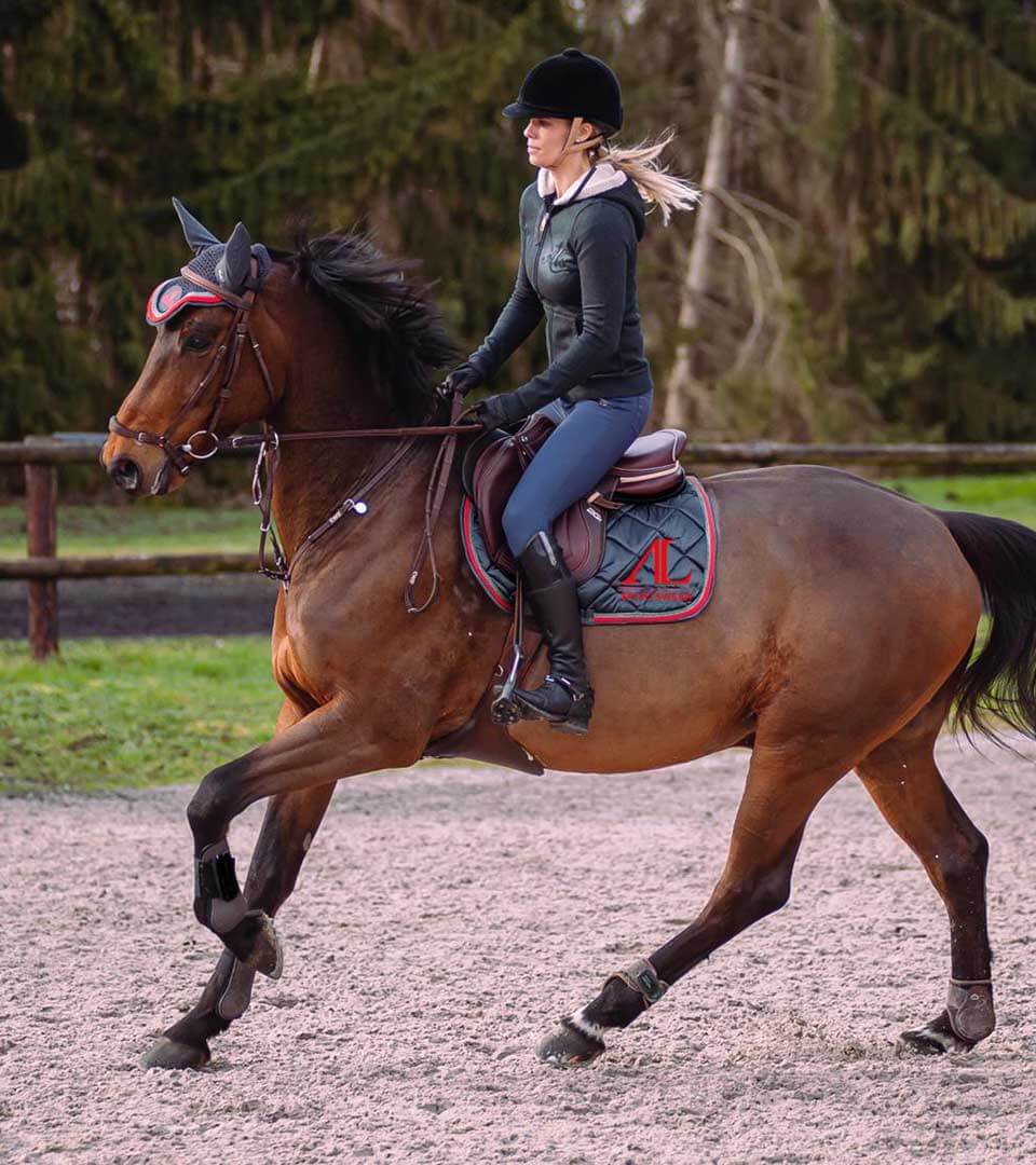 Merinos Sweat-shirt d'équitation en laine femme | Horse Pilot Merinos Sweat-shirt d'équitation en laine femme | Horse Pilot