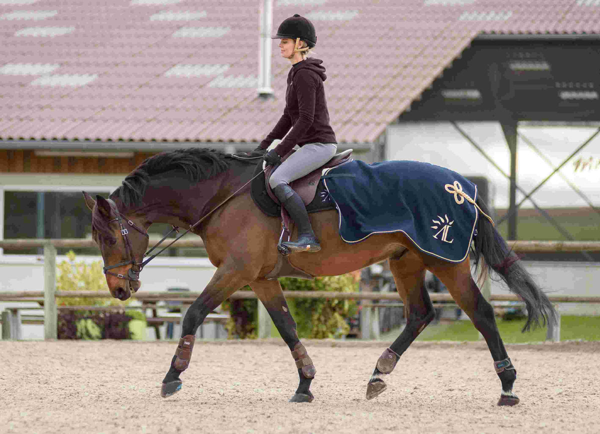 Équitation et Entraînement: Guide Complet pour Chevaux et Poneys by Équitation et Entraînement: Guide Complet pour Chevaux et Poneys by