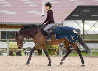Méthodes d’entraînement modernes : l’équitation réinventée ✨