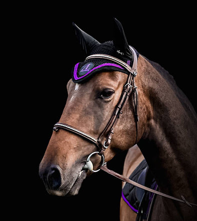 Bonnet Cheval Noir, 2 Cordes violettes