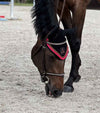 Bonnet cheval noir avec 4 cordes rose fushia et caramel marque Alexandra Ledermann Sportswear