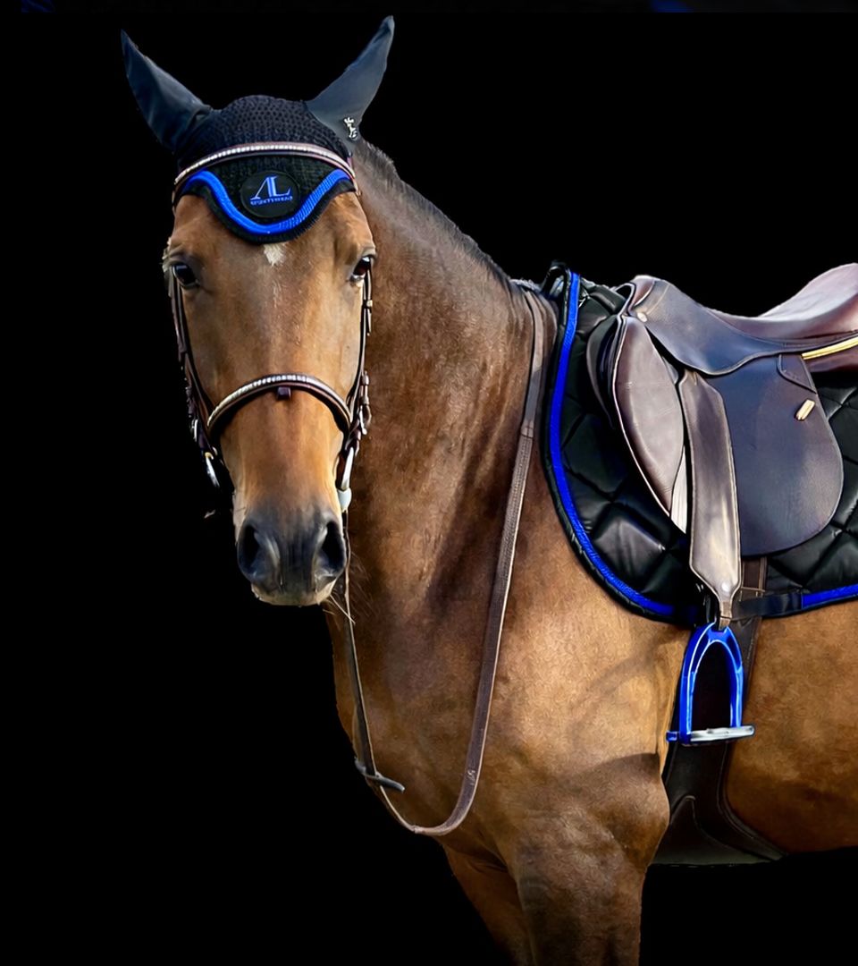 Equ'idées - tapis, bonnets, couvres rein d'équitation personnalisables on Reels Equ'idées - tapis, bonnets, couvres rein d'équitation personnalisables on Reels