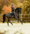 tapis de selle dressage en mesh rose noir paillettes cheval alexandra ledermann sportswear alsportswear