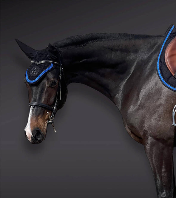 bonnet cheval noir cordes bleu roi logo pailleté alexandra ledermann sportswear alsportswear