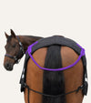 couvre reins noir brandebourg violet impermeable polaire cheval alexandra ledermann sportswear alsportswear