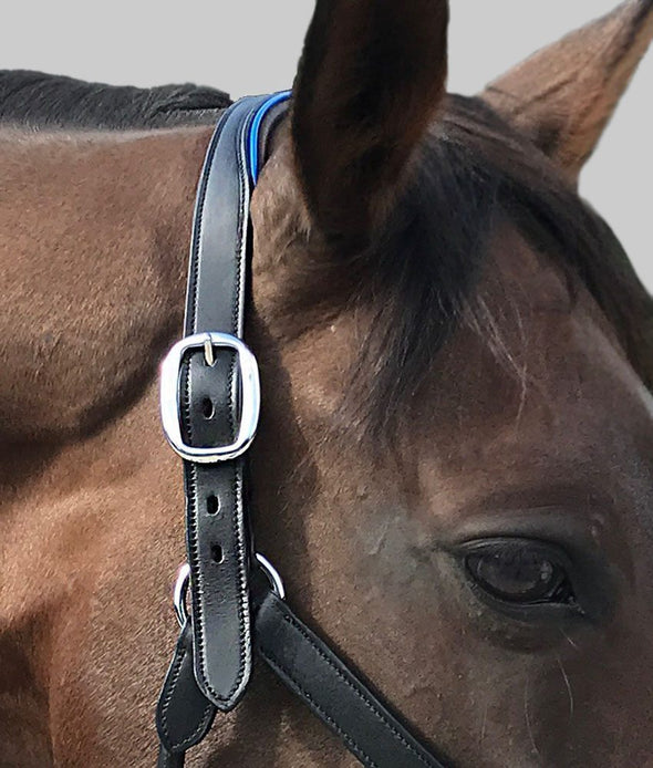 licol cuir noir details bleu roi cheval poney tetiere alexandra ledermann sportswear alsportswear