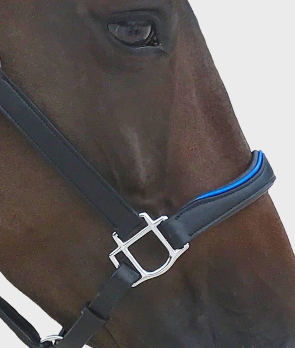 licol cuir noir details bleu roi cheval poney muserolle alexandra ledermann sportswear alsportswear