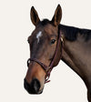 licol grooming cuir acajou cheval equitation alexandra ledermann sportswear alsportswear