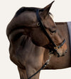 licol grooming cuir noir cheval poney anneau attache alexandra ledermann sportswear alsportswear