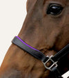 licol noir violet cheval muserolle alexandra ledermann sportswear alsportswear