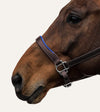 licol cuir brun details bleu roi cheval alexandra ledermann sportswear alsportswear
