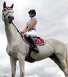 Polo concours Intouchabal cheval cso alexandra ledermann sportswear alsportswear