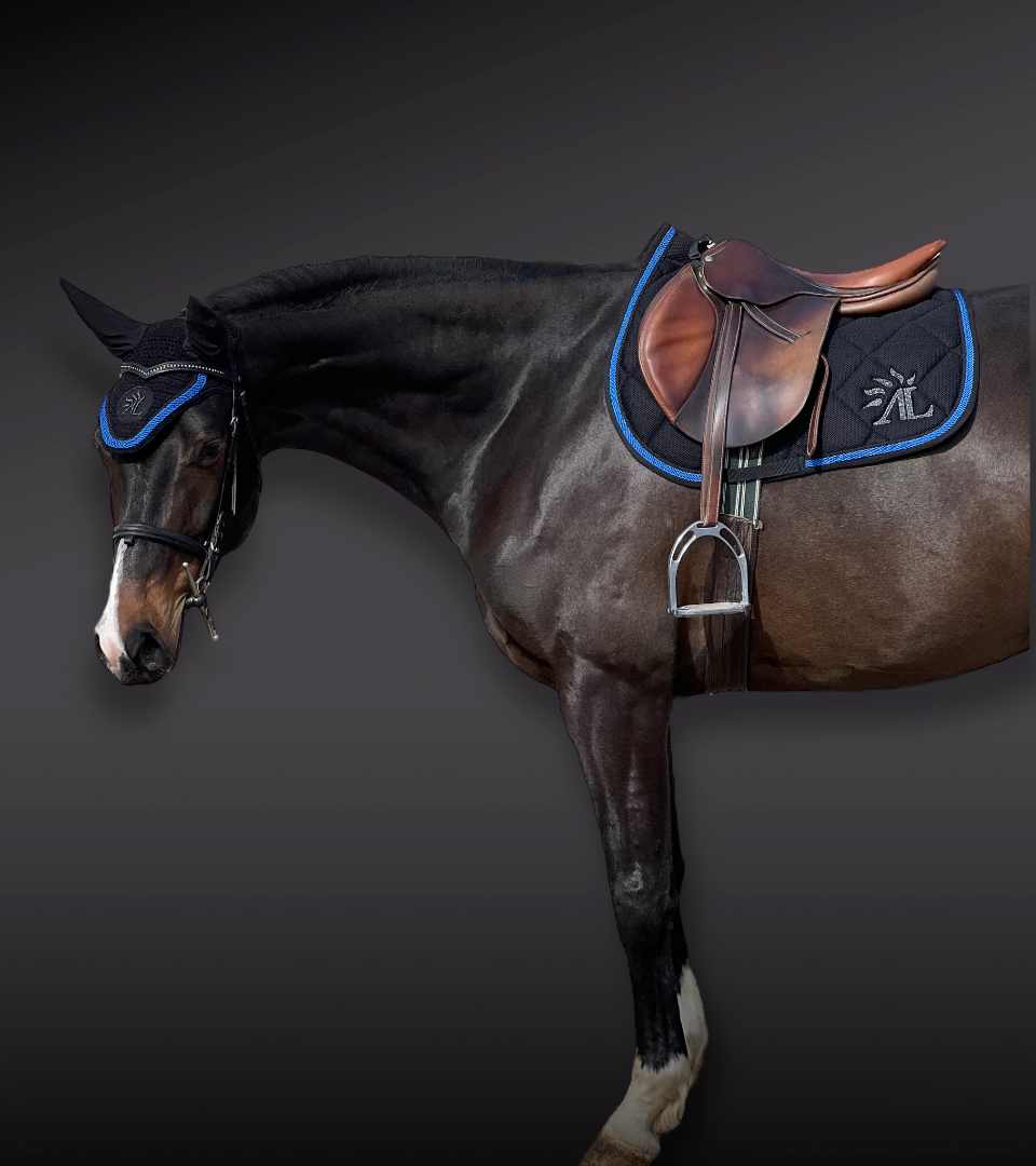 Freejump - Bonnet pour cheval Noir / Bleu